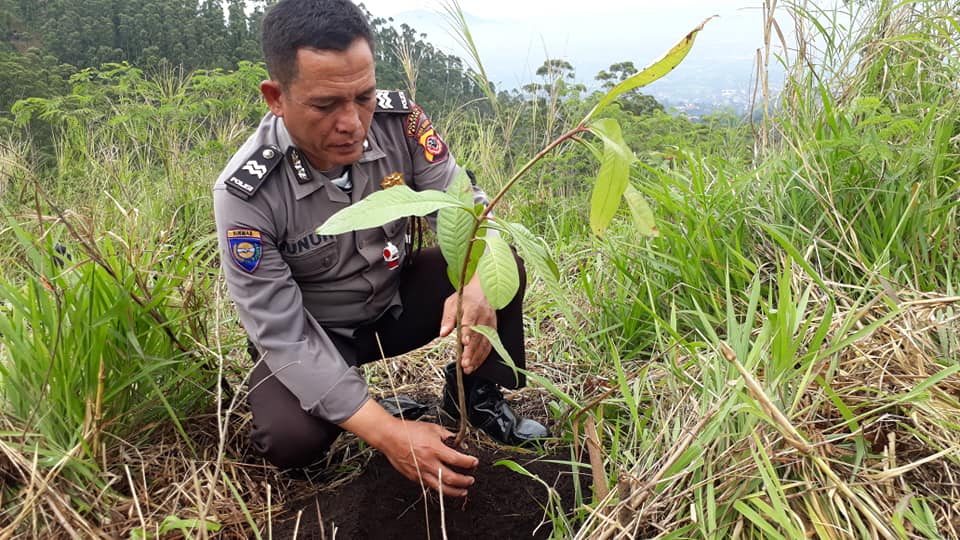 Plant Critical Land to Application of Technology for West Java Forests ...
