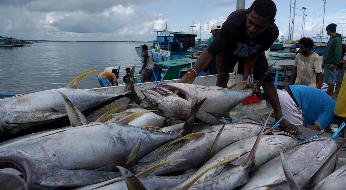Fishing Quota Begins in 2024 Kompas.id