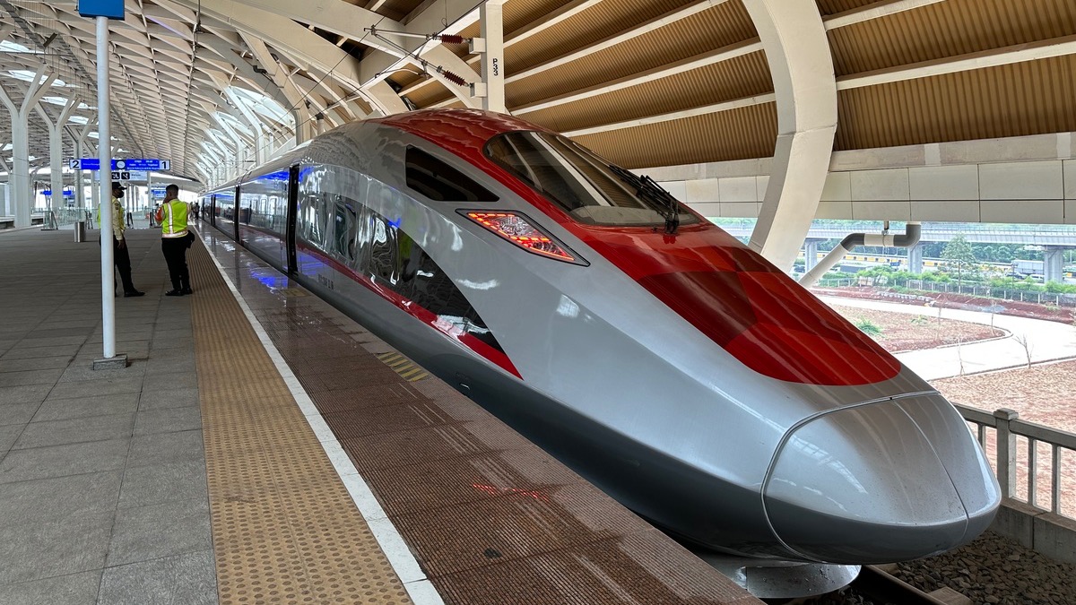 Mushuklarning yaqindan olingan fotosuratlari