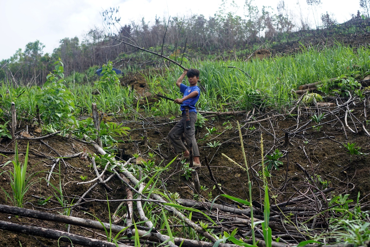 Masyarakat Adat, Penjaga Hutan yang Sulit Akses Layanan Dasar - Kompas.id