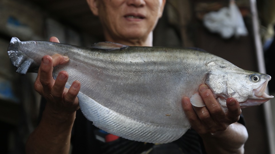 Kechasi ziyofatda birovning xotinini sikdim.