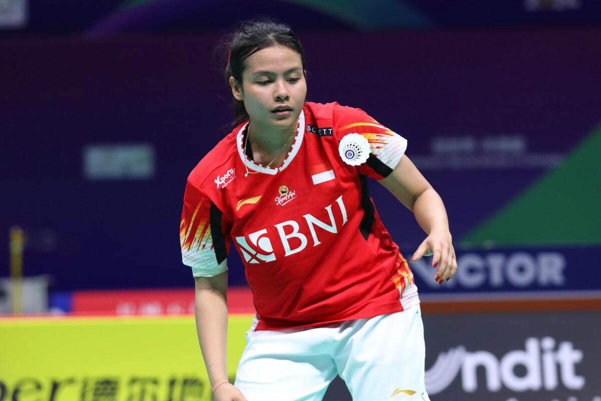 Hol külotdagi mushuk surati